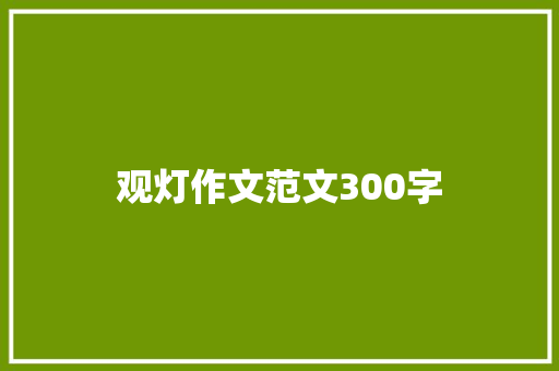 观灯作文范文300字