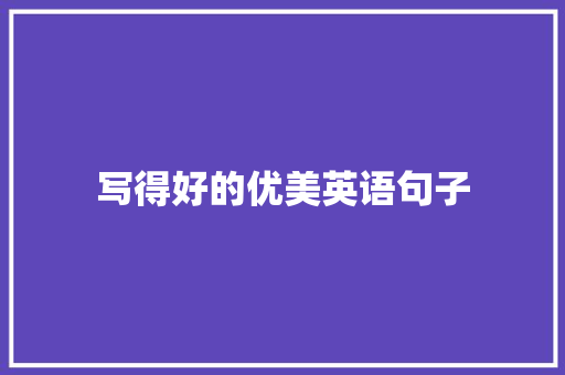 写得好的优美英语句子 论文范文