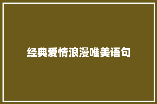 经典爱情浪漫唯美语句 会议纪要范文