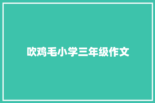 吹鸡毛小学三年级作文