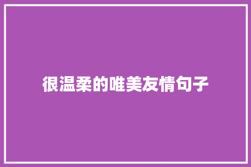 很温柔的唯美友情句子 报告范文