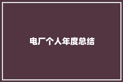 电厂个人年度总结