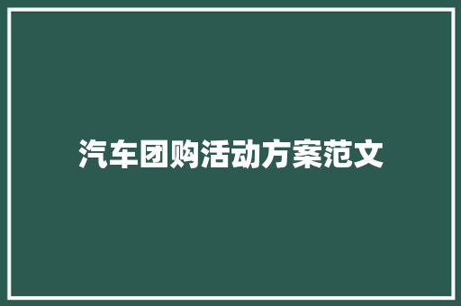 汽车团购活动方案范文