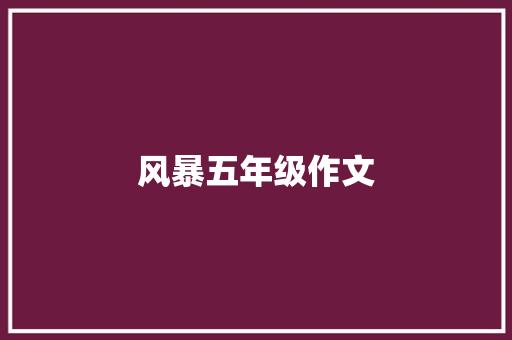 风暴五年级作文