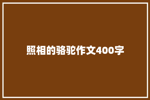 照相的骆驼作文400字