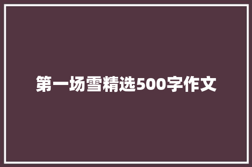 第一场雪精选500字作文