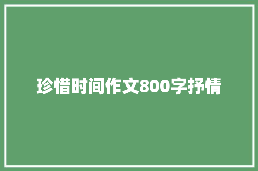 珍惜时间作文800字抒情 论文范文