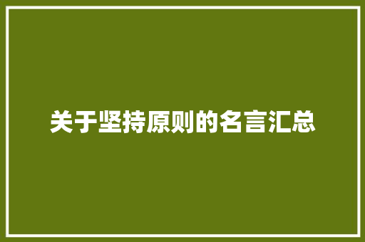 关于坚持原则的名言汇总 论文范文