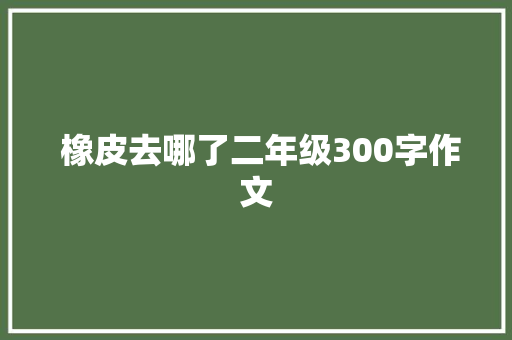  橡皮去哪了二年级300字作文