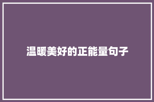 温暖美好的正能量句子