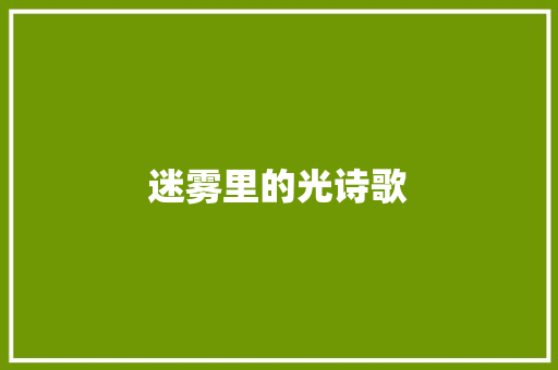 迷雾里的光诗歌 报告范文