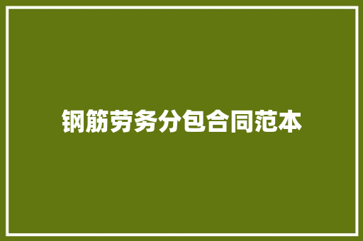 钢筋劳务分包合同范本 会议纪要范文