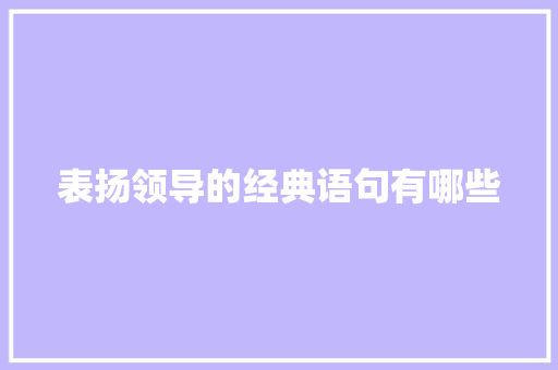 表扬领导的经典语句有哪些