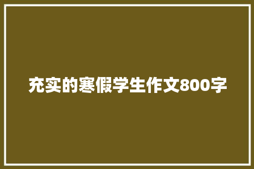 充实的寒假学生作文800字