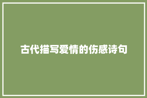 古代描写爱情的伤感诗句 综述范文