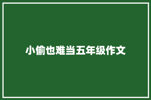 小偷也难当五年级作文