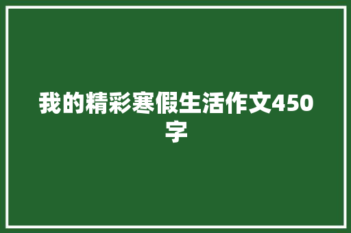 我的精彩寒假生活作文450字