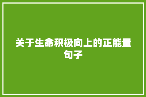 关于生命积极向上的正能量句子 会议纪要范文