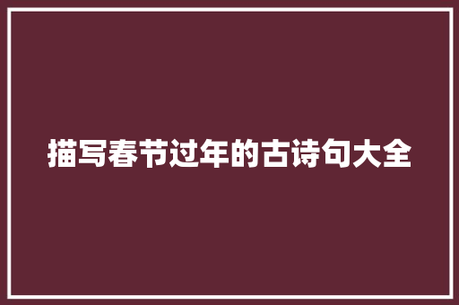 描写春节过年的古诗句大全