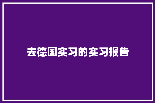 去德国实习的实习报告