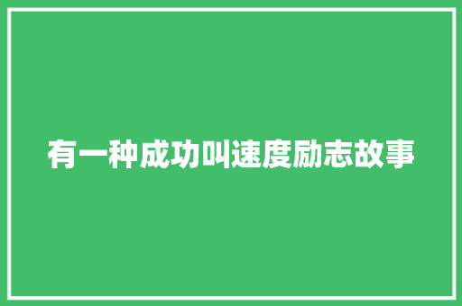 有一种成功叫速度励志故事