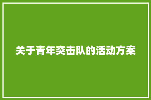 关于青年突击队的活动方案