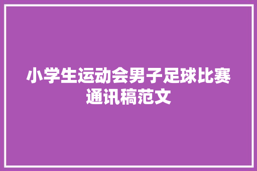 小学生运动会男子足球比赛通讯稿范文