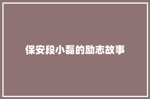 保安段小磊的励志故事