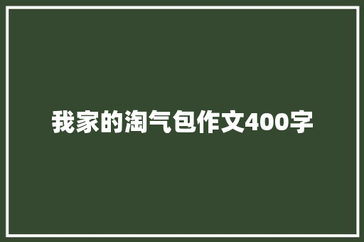 我家的淘气包作文400字