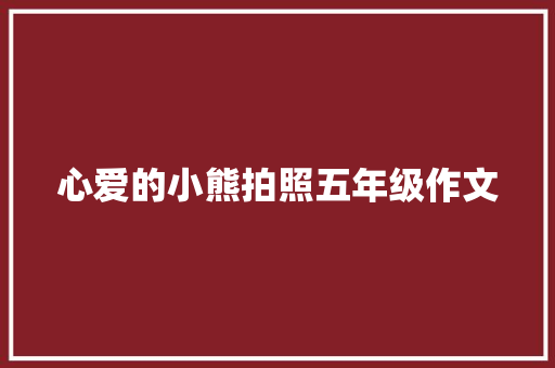 心爱的小熊拍照五年级作文