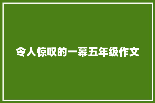 令人惊叹的一幕五年级作文