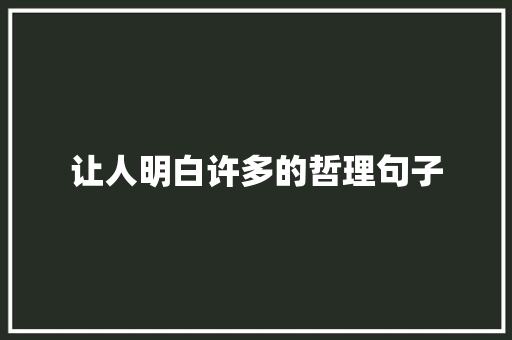 让人明白许多的哲理句子 综述范文