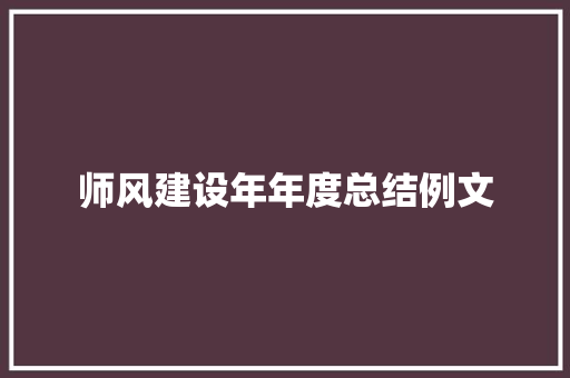 师风建设年年度总结例文