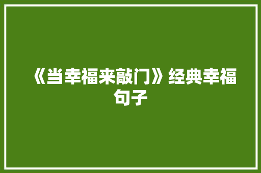 《当幸福来敲门》经典幸福句子