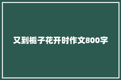 又到栀子花开时作文800字