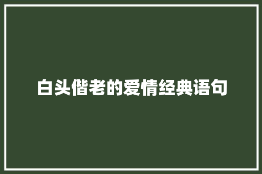 白头偕老的爱情经典语句 综述范文