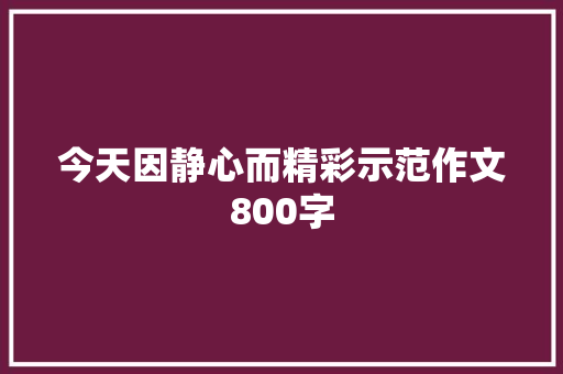 今天因静心而精彩示范作文800字