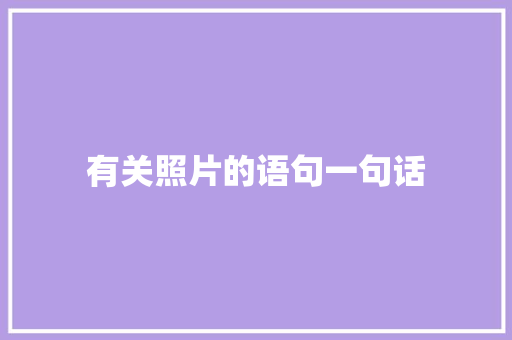 有关照片的语句一句话