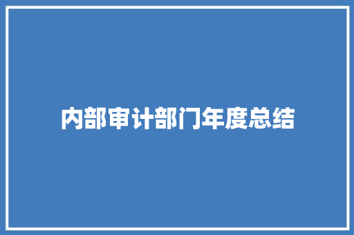 内部审计部门年度总结