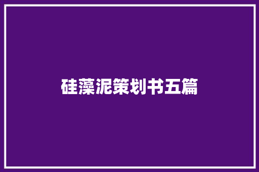 硅藻泥策划书五篇