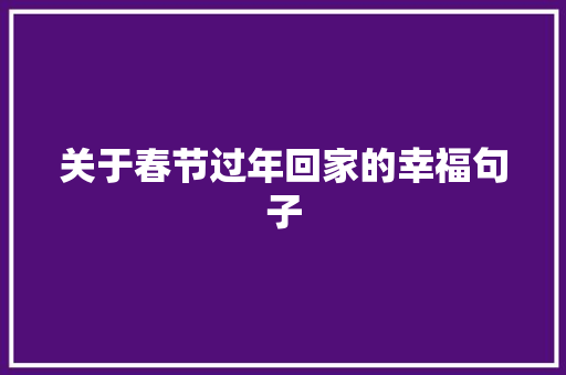 关于春节过年回家的幸福句子 申请书范文