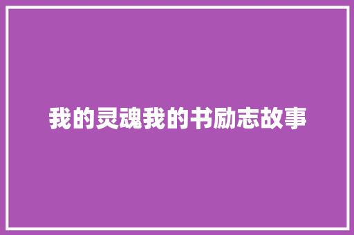 我的灵魂我的书励志故事