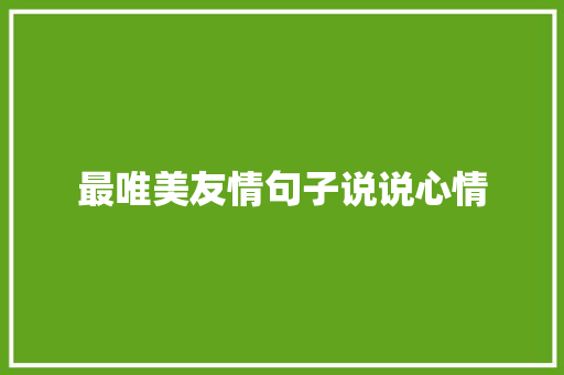 最唯美友情句子说说心情 简历范文