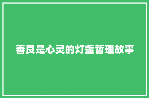 善良是心灵的灯盏哲理故事 工作总结范文