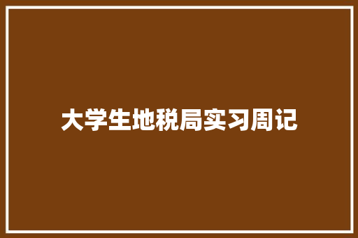 大学生地税局实习周记