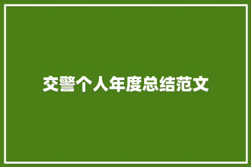 交警个人年度总结范文 工作总结范文