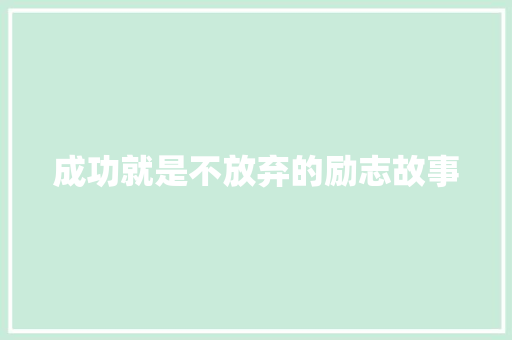 成功就是不放弃的励志故事