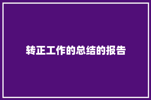 转正工作的总结的报告