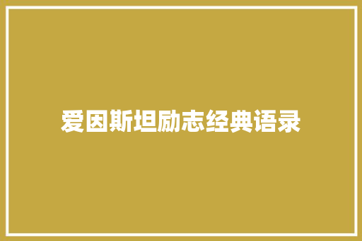 爱因斯坦励志经典语录