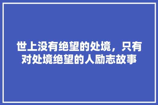 世上没有绝望的处境，只有对处境绝望的人励志故事